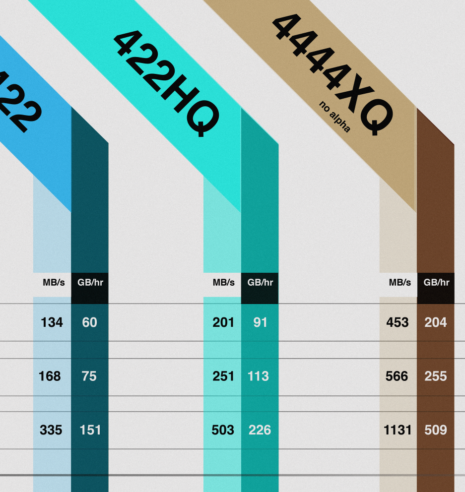 ProRes Codec Chart Light (Framed)